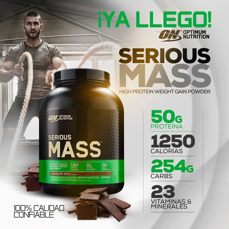 serious mass 6 lb optimum nutrition chocolate