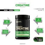 creatine micronized 1200 g optimum nutrition