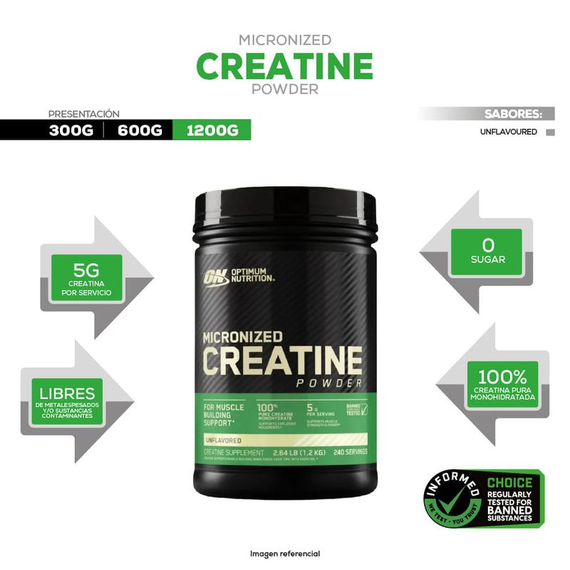 creatine micronized 1200 g optimum nutrition